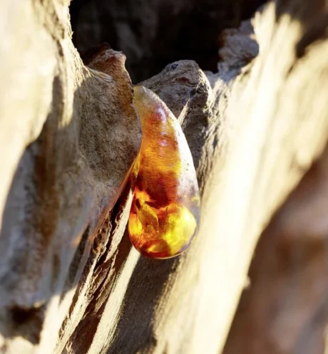 Sauvage Dior for Men – A Bold and Timeless Fragrance