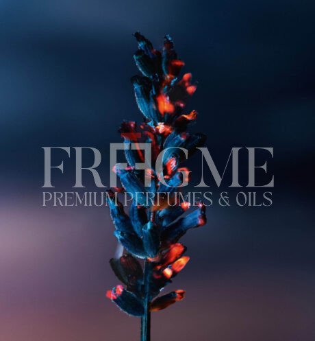 Sauvage Elixir Dior for Men